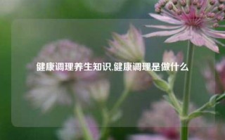 健康调理养生知识,健康调理是做什么