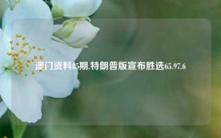 澳门资料85期,特朗普版宣布胜选65.97.6