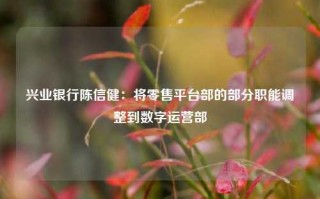 兴业银行陈信健：将零售平台部的部分职能调整到数字运营部