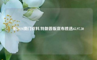 彩2020澳门资料,特朗普版宣布胜选65.97.30