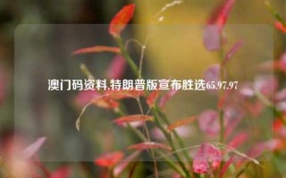 澳门码资料,特朗普版宣布胜选65.97.97