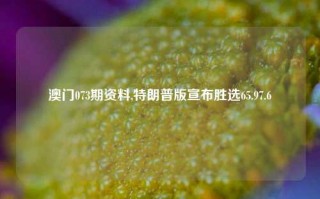 澳门073期资料,特朗普版宣布胜选65.97.6