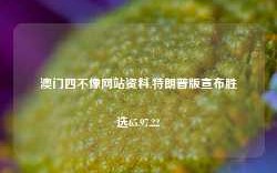 澳门四不像网站资料,特朗普版宣布胜选65.97.22