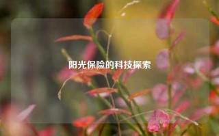 阳光保险的科技探索