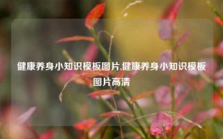 健康养身小知识模板图片,健康养身小知识模板图片高清