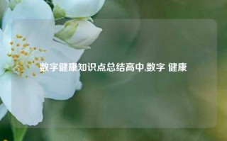 数字健康知识点总结高中,数字 健康