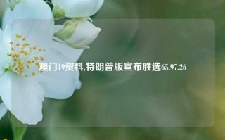 澳门19资料,特朗普版宣布胜选65.97.26