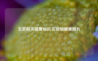 五官相关健康知识,五官知健康图片