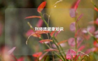 刘师傅健康知识