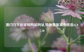 澳门六下彩资料网站网址,特朗普版宣布胜选65.97.20