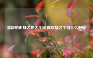 健康知识群名称大全集,健康群名字叫什么好呢