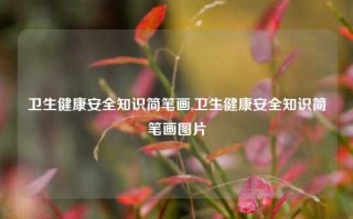 卫生健康安全知识简笔画,卫生健康安全知识简笔画图片