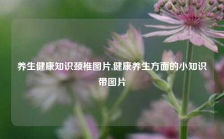 养生健康知识颈椎图片,健康养生方面的小知识带图片