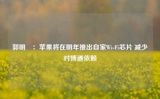 郭明錤：苹果将在明年推出自家Wi-Fi芯片 减少对博通依赖