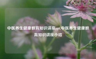 中医养生健康教育知识讲座ppt,中医养生健康教育知识讲座小结