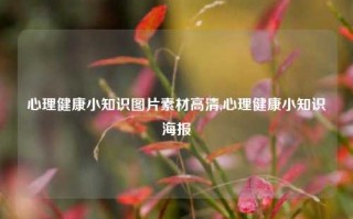 心理健康小知识图片素材高清,心理健康小知识海报