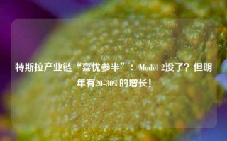 特斯拉产业链“喜忧参半”：Model 2没了？但明年有20-30%的增长！