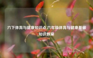 六下体育与健康知识点,六年级体育与健康基础知识教案