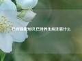 巳时健康知识,巳时养生应注意什么