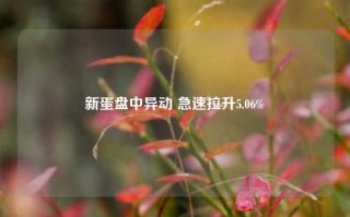 新蛋盘中异动 急速拉升5.06%