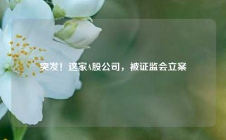 突发！这家A股公司，被证监会立案