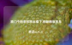 澳门今晚资料放出看下,特朗普版宣布胜选65.97.17