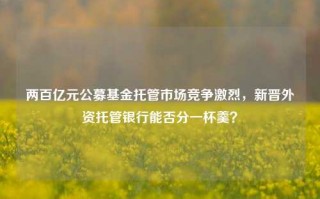 两百亿元公募基金托管市场竞争激烈，新晋外资托管银行能否分一杯羹？