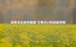 消费支出保持健康 万事达Q3利润超预期