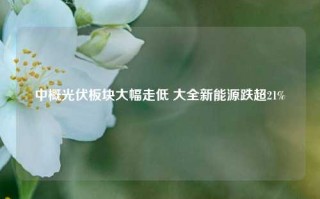 中概光伏板块大幅走低 大全新能源跌超21%