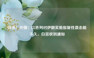 快讯！外媒：以色列对伊朗实施报复性袭击前不久，白宫收到通知