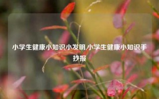 小学生健康小知识小发明,小学生健康小知识手抄报