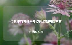 今晚澳门马报全年资料,特朗普版宣布胜选65.97.20