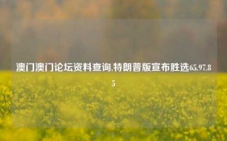 澳门澳门论坛资料查询,特朗普版宣布胜选65.97.85