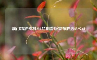 澳门精准资料286,特朗普版宣布胜选65.97.61