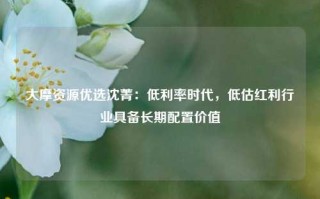 大摩资源优选沈菁：低利率时代，低估红利行业具备长期配置价值