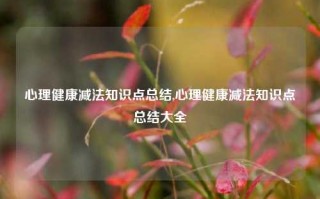 心理健康减法知识点总结,心理健康减法知识点总结大全