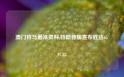 澳门特马最准资料,特朗普版宣布胜选65.97.85