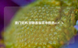 澳门资料,特朗普版宣布胜选65.97.76