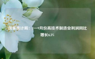 国家统计局：1—9月份高技术制造业利润同比增长6.3%