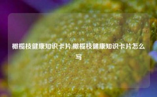 橄榄枝健康知识卡片,橄榄枝健康知识卡片怎么写