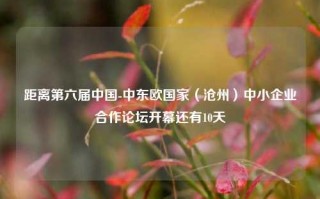 距离第六届中国-中东欧国家（沧州）中小企业合作论坛开幕还有10天