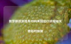 俄罗斯政府宣布对向美国出口浓缩铀实施临时限制