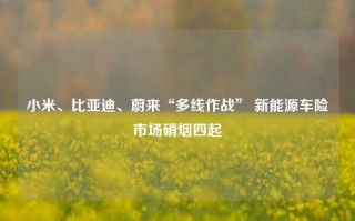 小米、比亚迪、蔚来“多线作战” 新能源车险市场硝烟四起