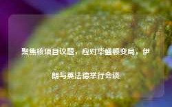 聚焦核项目议题，应对华盛顿变局，伊朗与英法德举行会谈