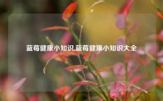 蓝莓健康小知识,蓝莓健康小知识大全