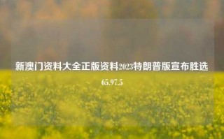 新澳门资料大全正版资料2023特朗普版宣布胜选65.97.5