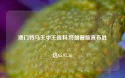 澳门特马王中王资料,特朗普版宣布胜选65.97.16