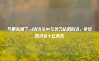 马斯克旗下xAI洽谈按400亿美元估值融资，希望融资数十亿美元