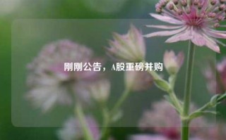 刚刚公告，A股重磅并购