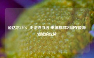 道达尔CEO：无论谁当选 美国都将巩固在能源领域的优势